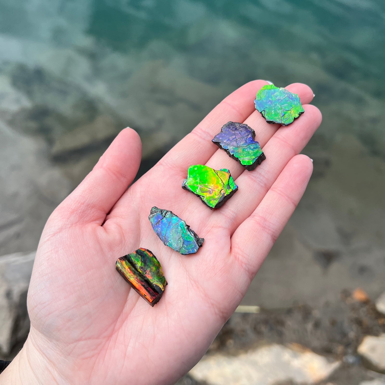 Why you should add Ammolite to your collection - Rocks and Gems Canada