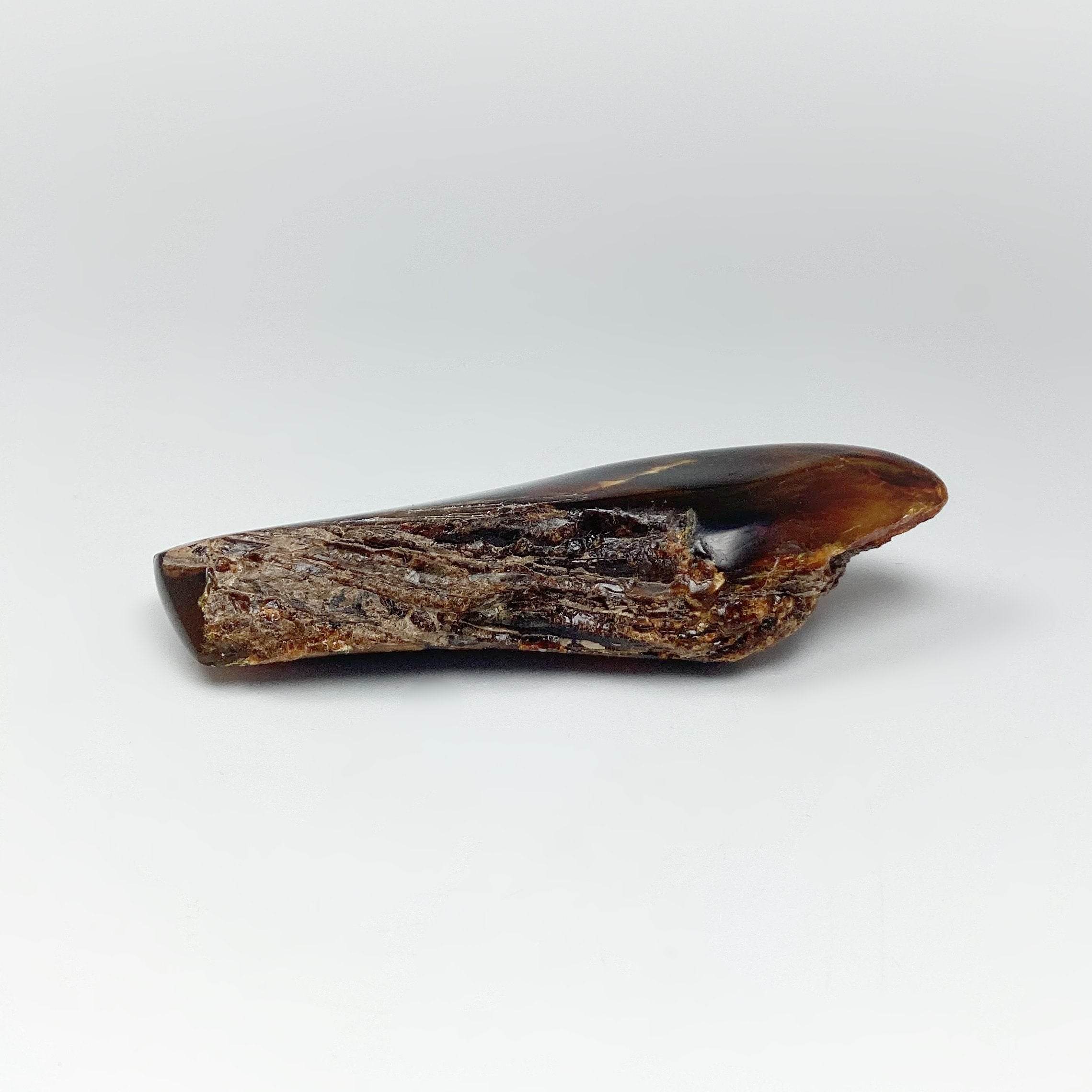 Amber - Rocks and Gems Canada