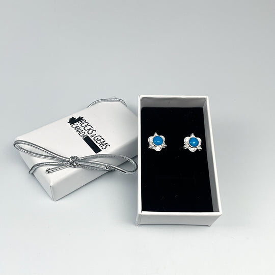 Turquoise Stud Earrings