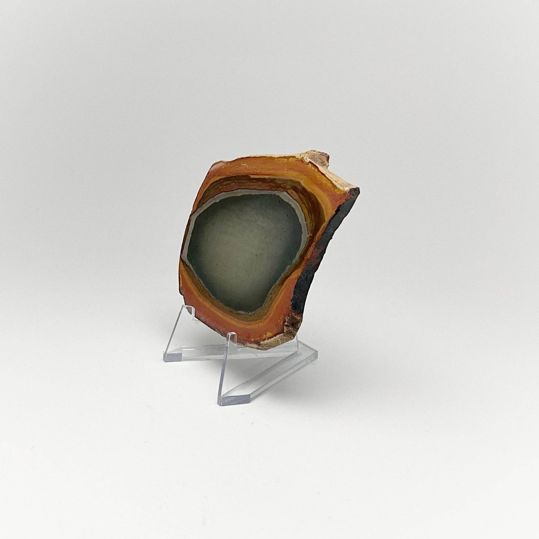 Polychrome Jasper Slice - Rocks and Gems Canada