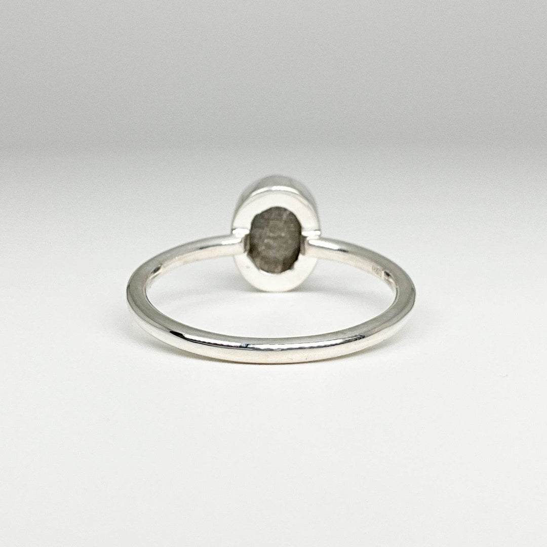 Muonionalusta Meteorite Ring - Rocks and Gems Canada