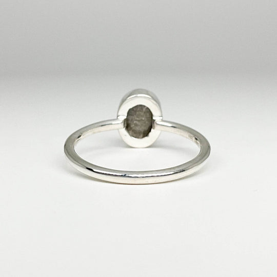 Muonionalusta Meteorite Ring - Rocks and Gems Canada