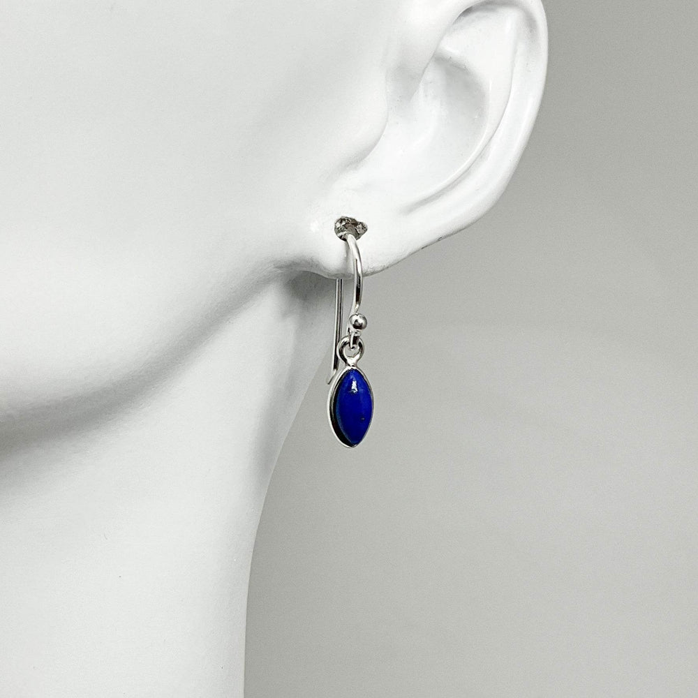 Lapis Lazuli Dangle Earrings - Rocks and Gems Canada