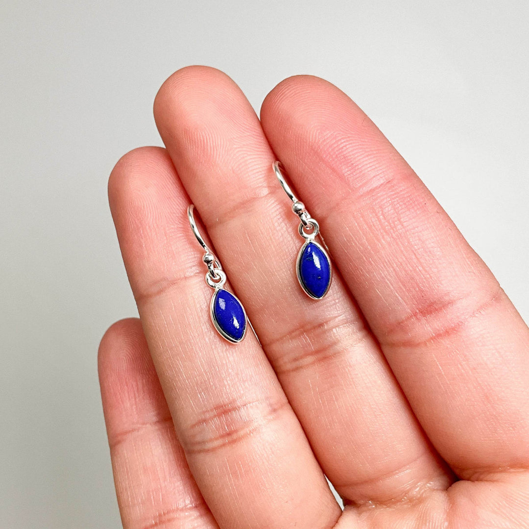 Lapis Lazuli Dangle Earrings - Rocks and Gems Canada