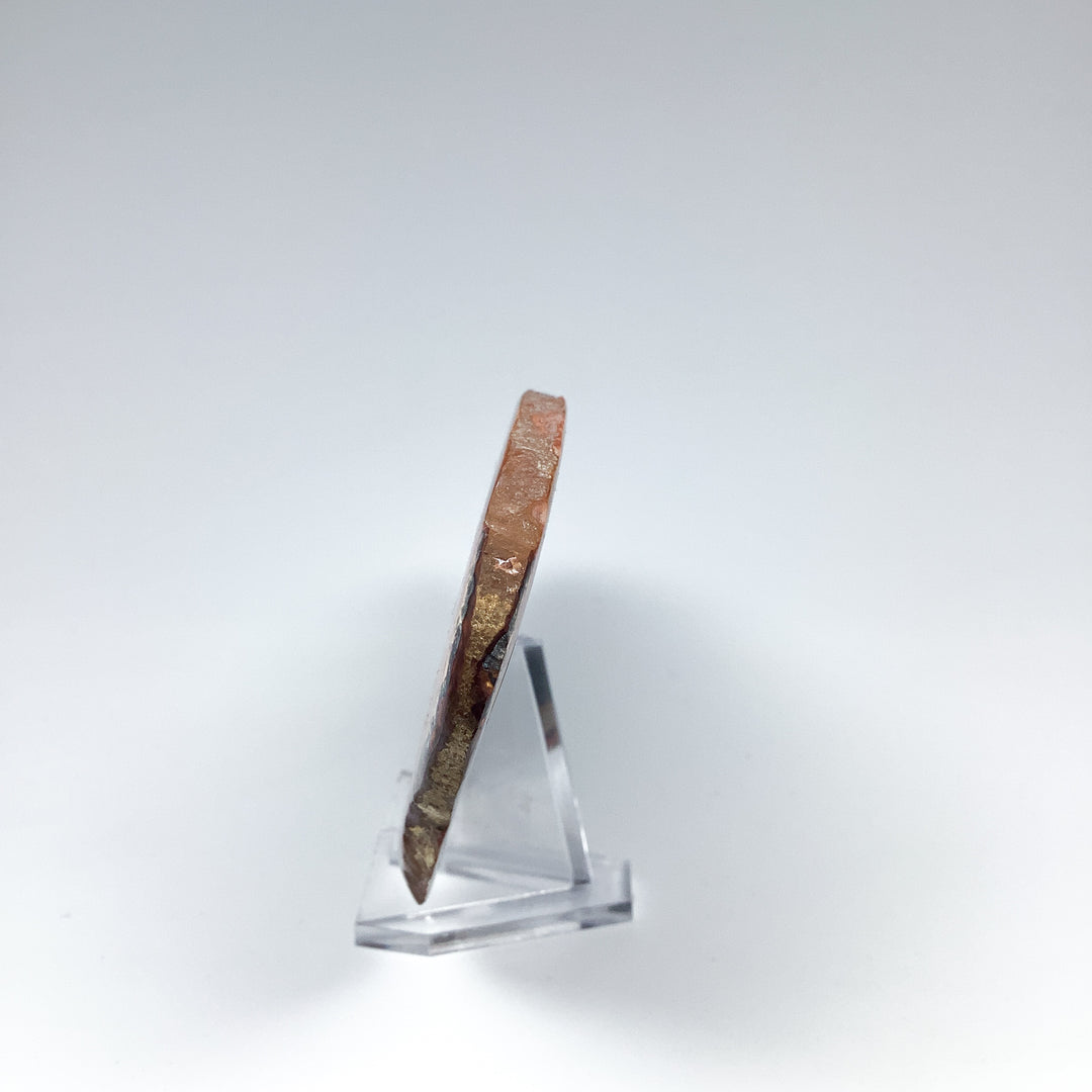 Polychrome Jasper Slice - Rocks and Gems Canada