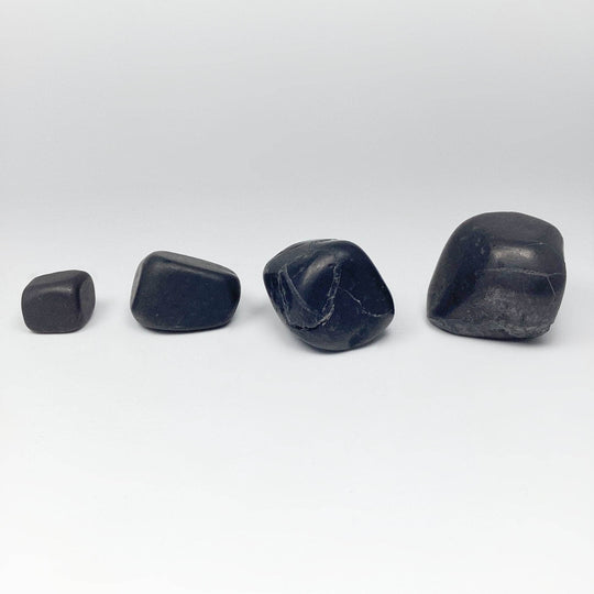 Shungite Tumble - Rocks and Gems Canada