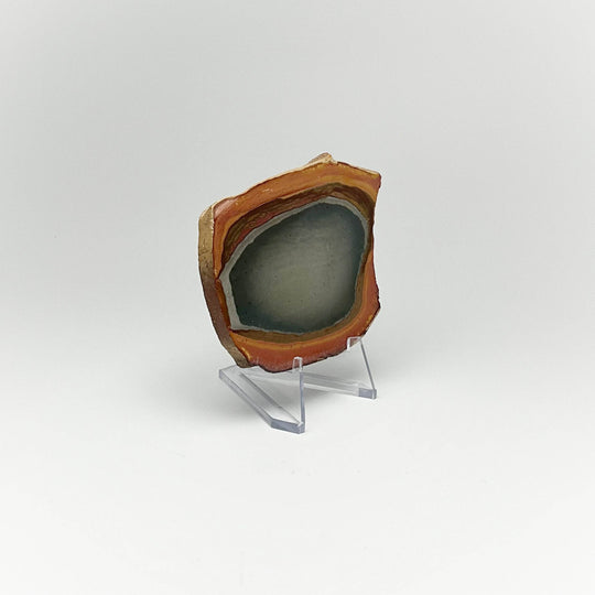 Polychrome Jasper Slice - Rocks and Gems Canada