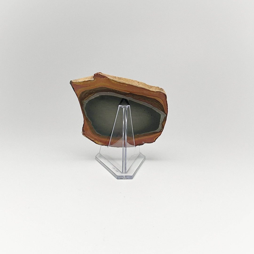 Polychrome Jasper Slice - Rocks and Gems Canada