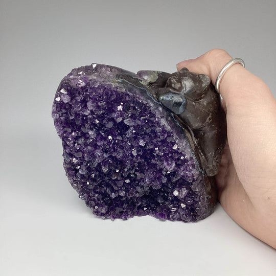Amethyst Bear Carving - Rocks and Gems Canada