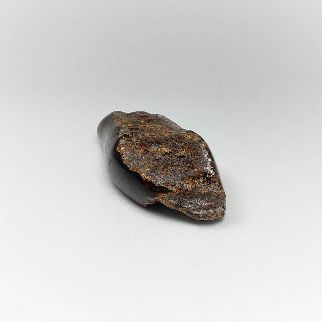 Blue Amber Specimen - Rocks and Gems Canada