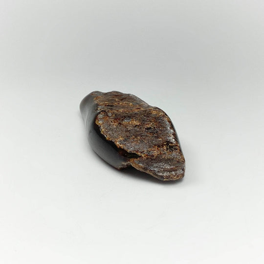 Blue Amber Specimen - Rocks and Gems Canada