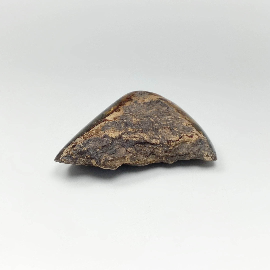 Blue Amber Specimen - Rocks and Gems Canada