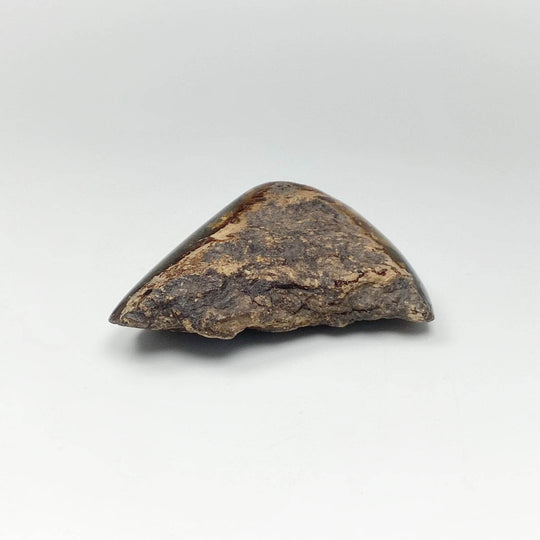 Blue Amber Specimen - Rocks and Gems Canada