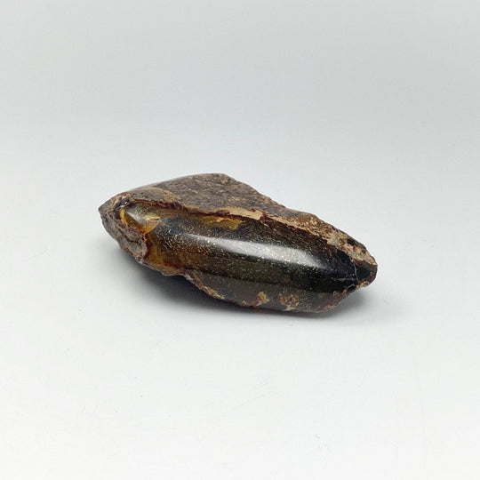 Blue Amber Specimen - Rocks and Gems Canada