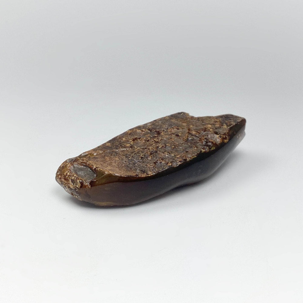 Blue Amber Specimen - Rocks and Gems Canada