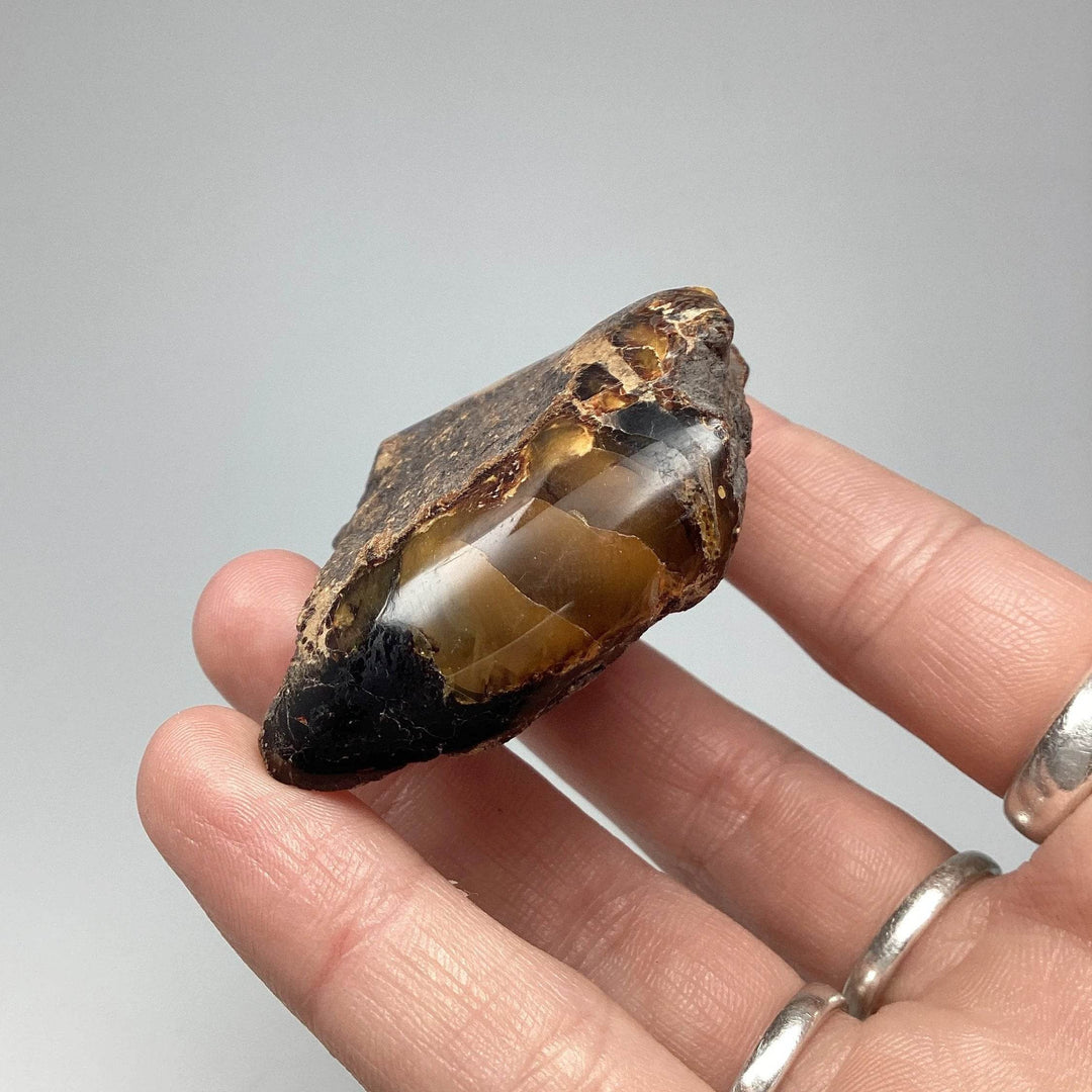 Blue Amber Specimen - Rocks and Gems Canada