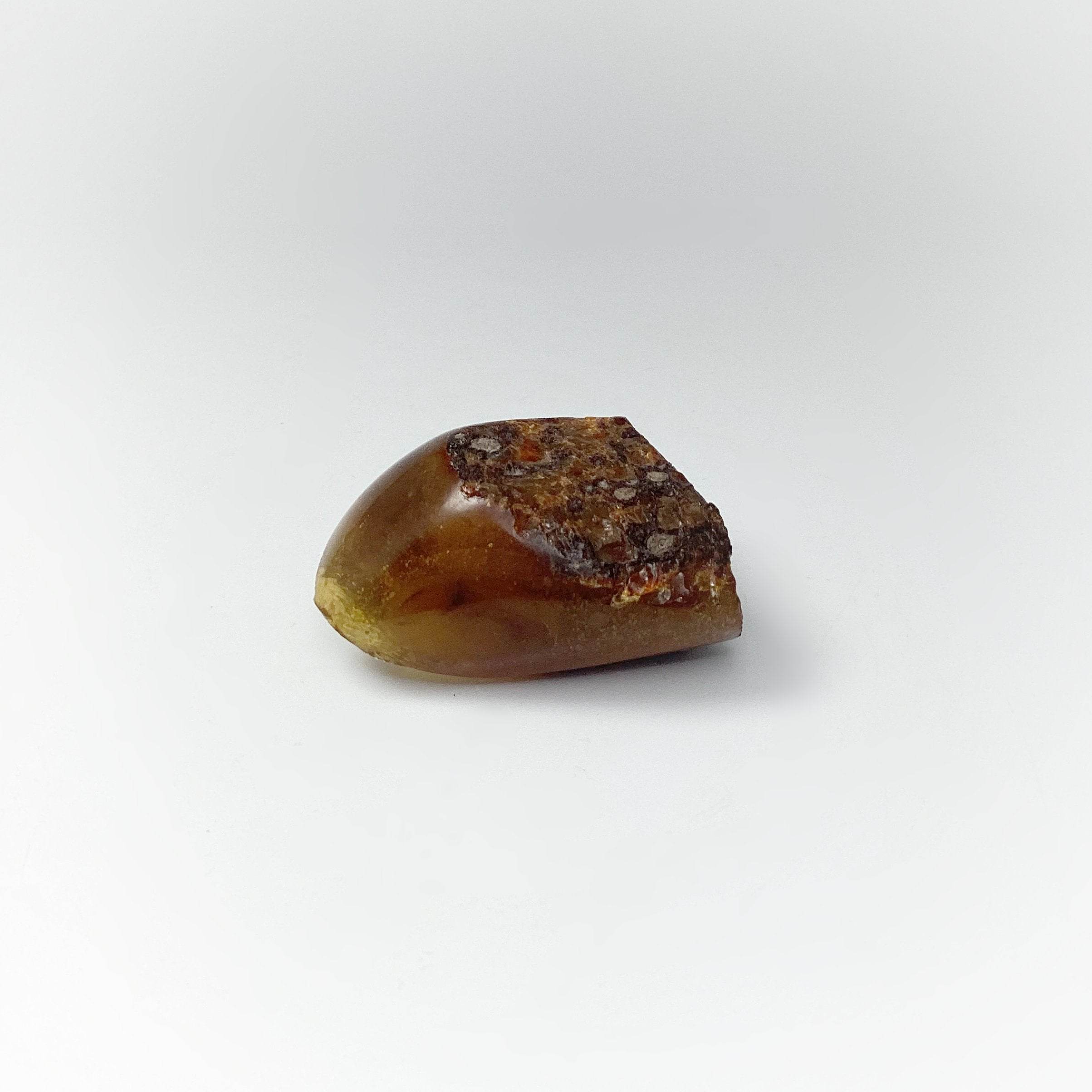 Blue Amber Specimen - Rocks and Gems Canada