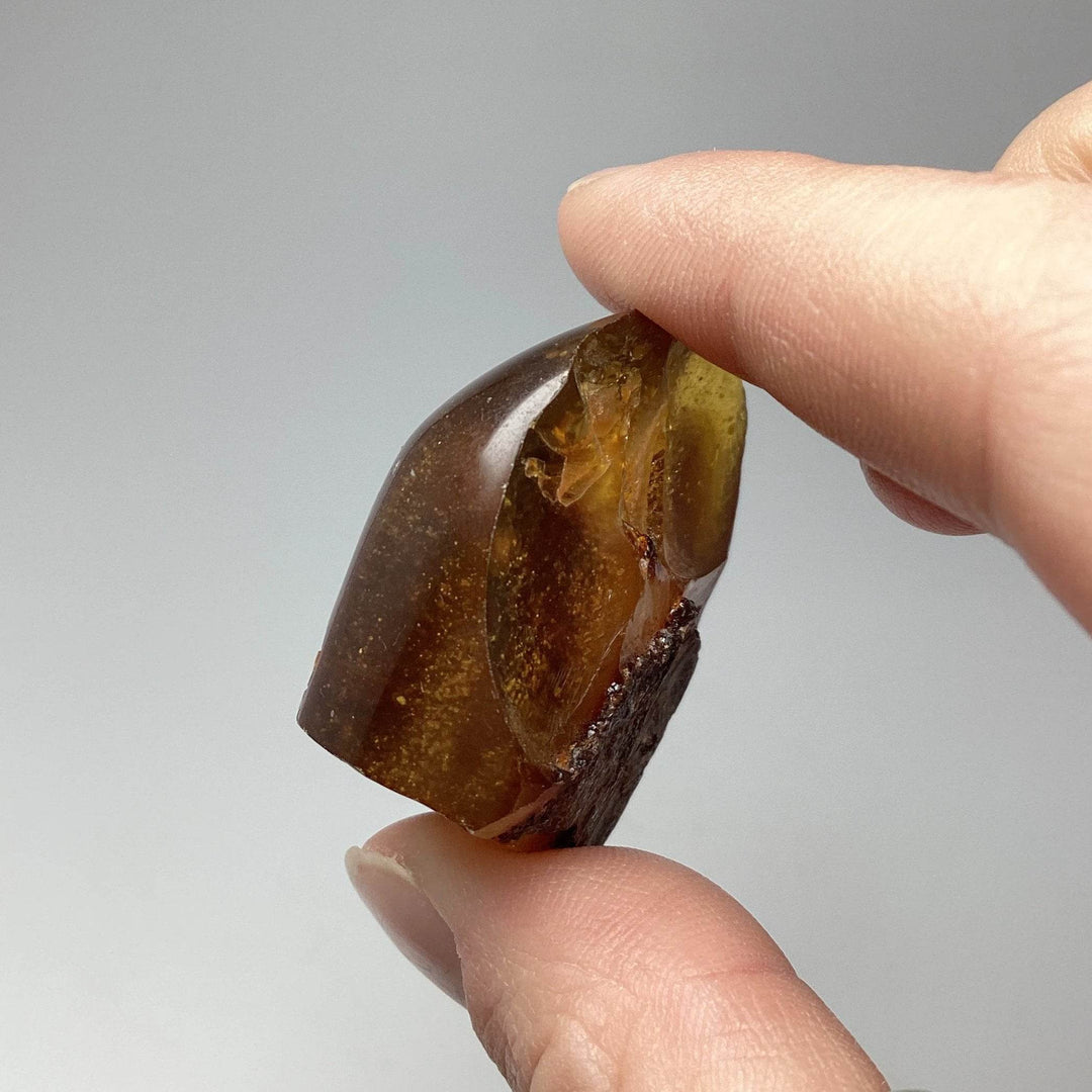 Blue Amber Specimen - Rocks and Gems Canada