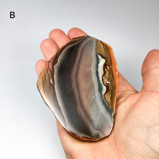 Polychrome Jasper Slice - Rocks and Gems Canada