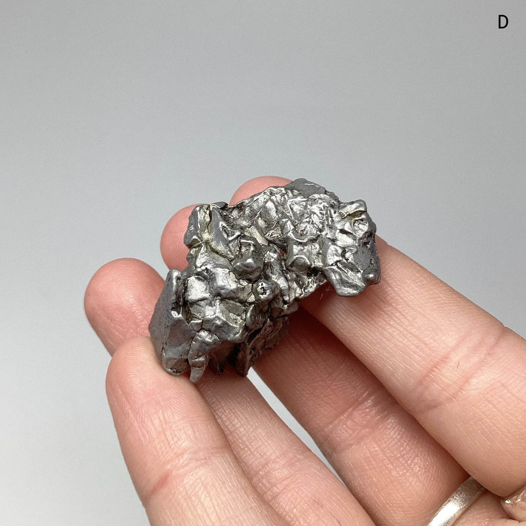 Campo Del Cielo Meteorite - Rocks and Gems Canada