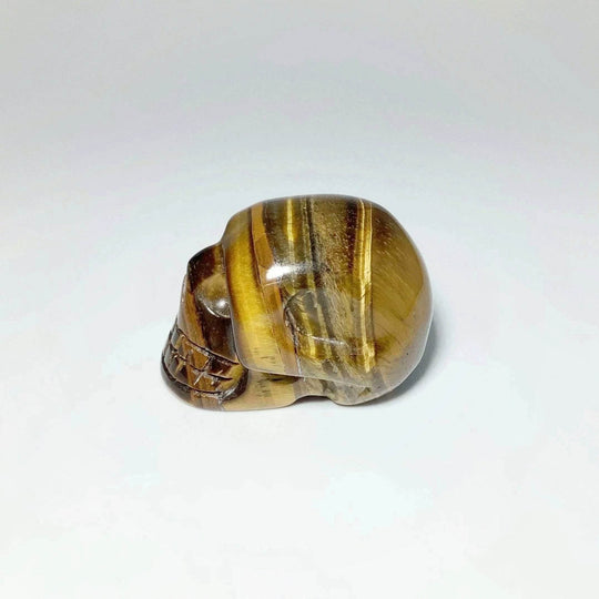 Carved Tiger Eye Skull - Rocks and Gems Canada