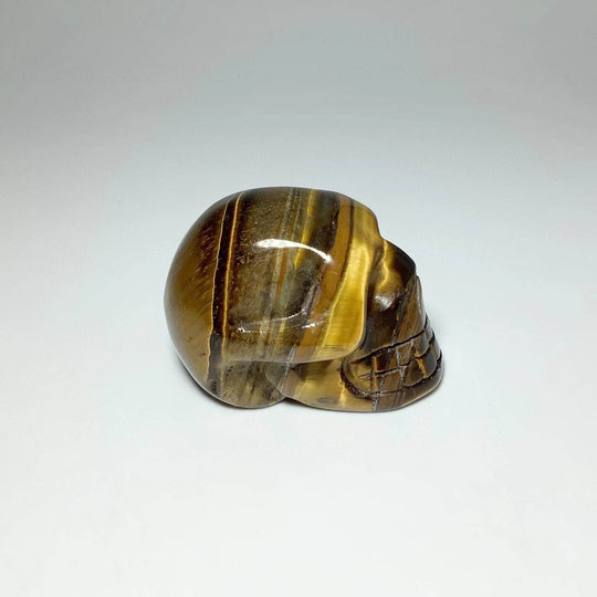 Carved Tiger Eye Skull - Rocks and Gems Canada