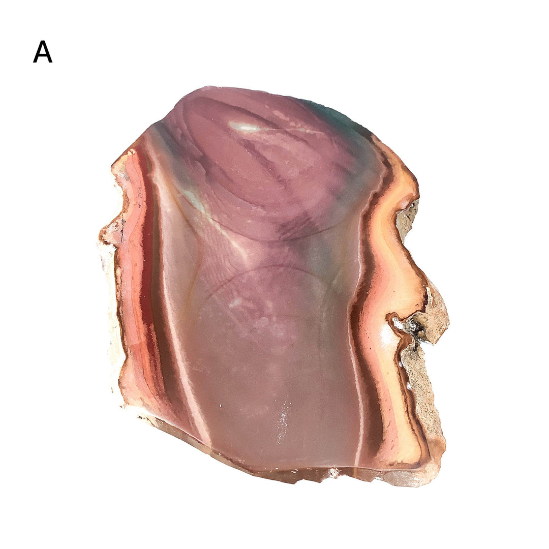 Polychrome Jasper Slice - Rocks and Gems Canada