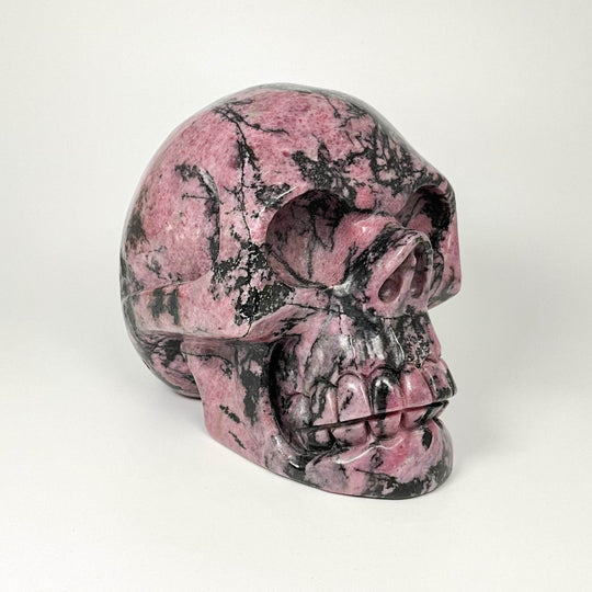 Carved Rhodonite Skull - Rocks and Gems Canada