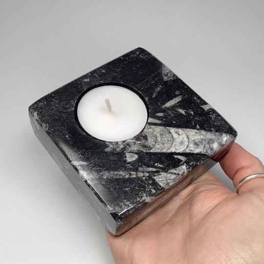 Fossilized Orthoceras Candle Holder - Rocks and Gems Canada