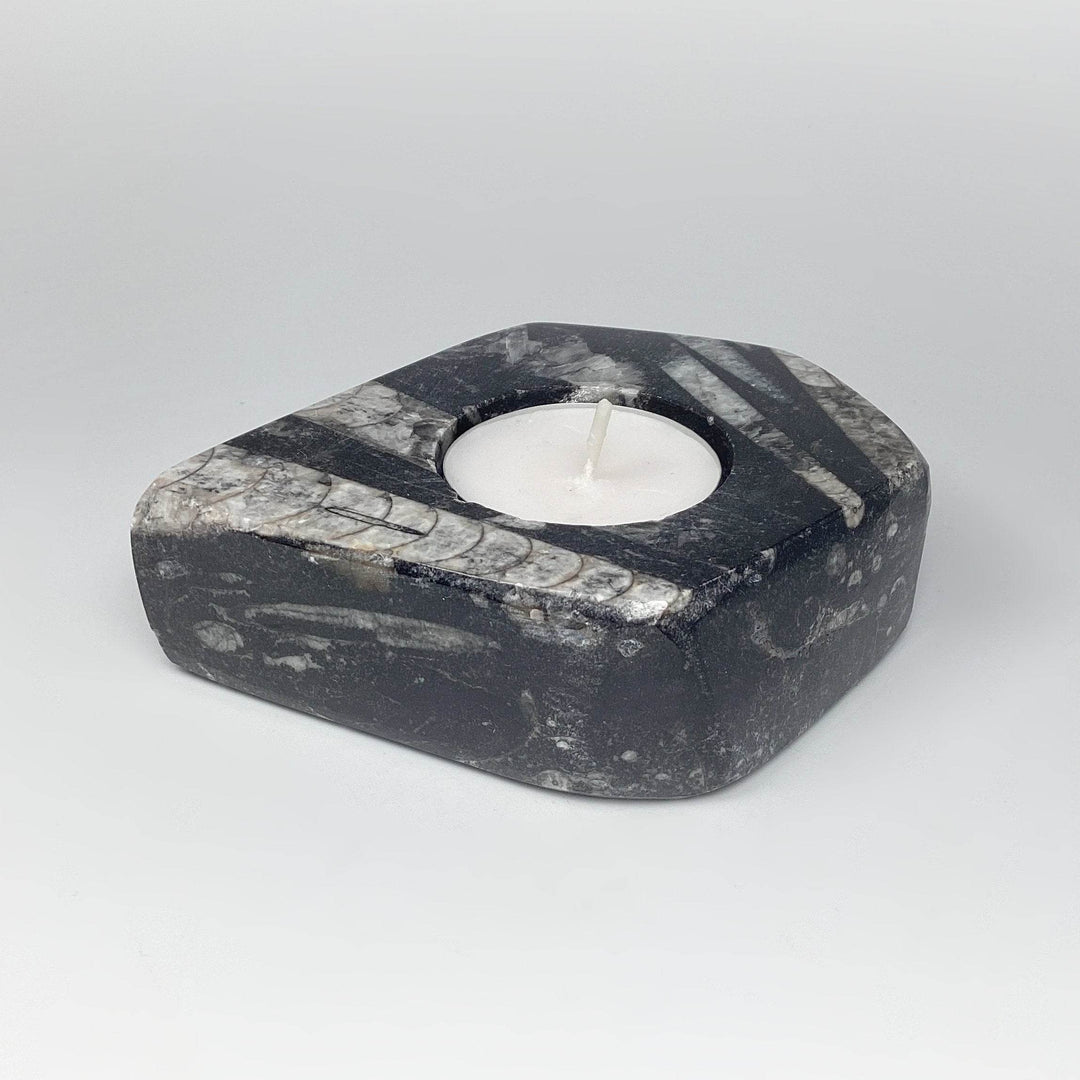 Fossilized Orthoceras Candle Holder - Rocks and Gems Canada