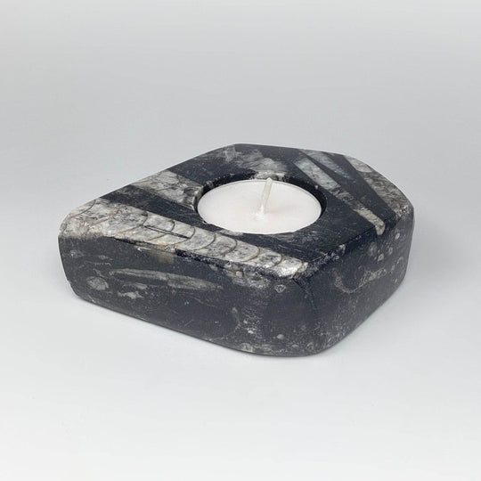 Fossilized Orthoceras Candle Holder - Rocks and Gems Canada