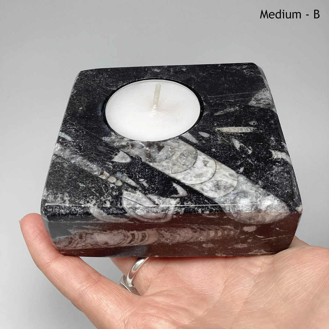 Fossilized Orthoceras Candle Holder - Rocks and Gems Canada