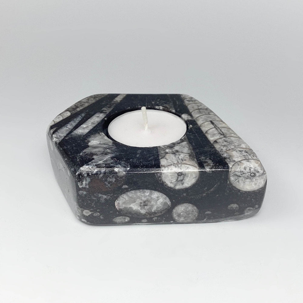 Fossilized Orthoceras Candle Holder - Rocks and Gems Canada