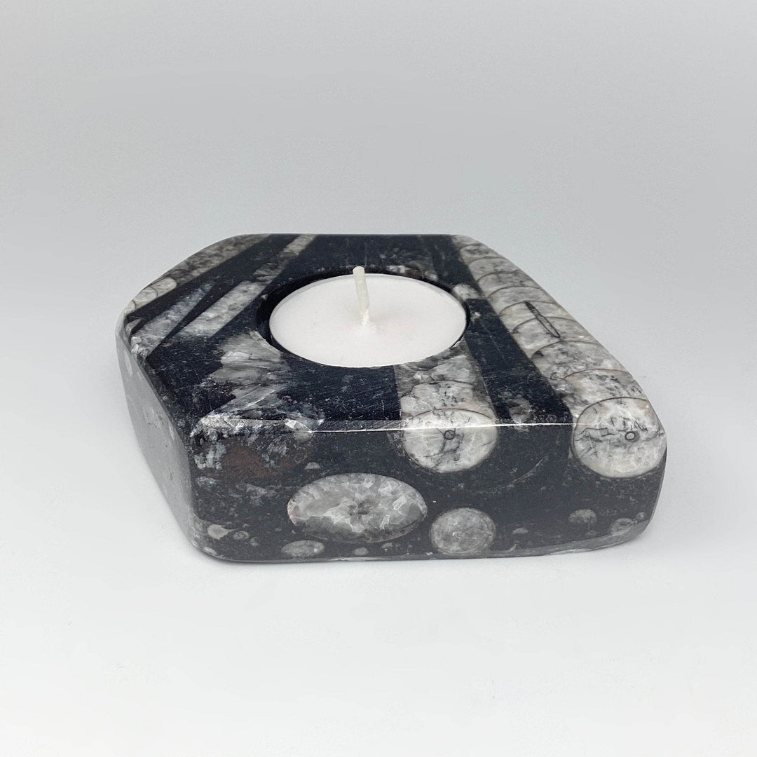 Fossilized Orthoceras Candle Holder - Rocks and Gems Canada