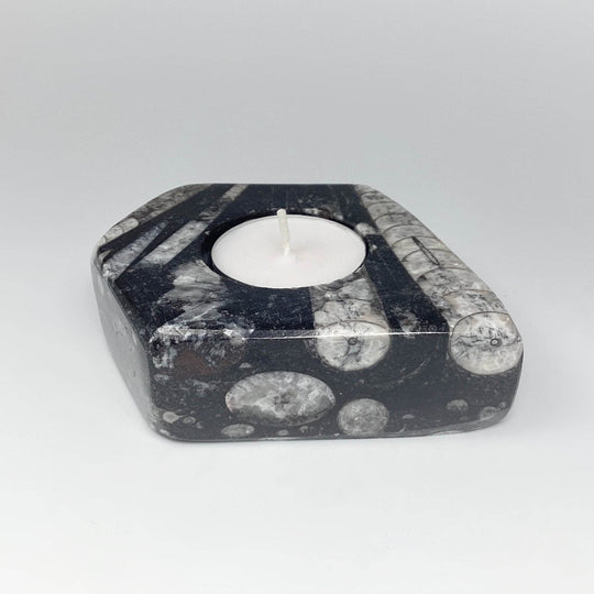 Fossilized Orthoceras Candle Holder - Rocks and Gems Canada