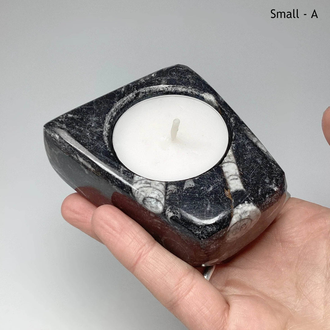 Fossilized Orthoceras Candle Holder - Rocks and Gems Canada