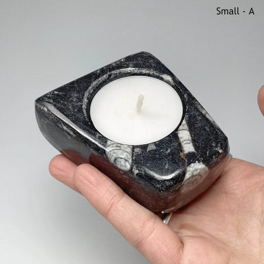 Fossilized Orthoceras Candle Holder - Rocks and Gems Canada