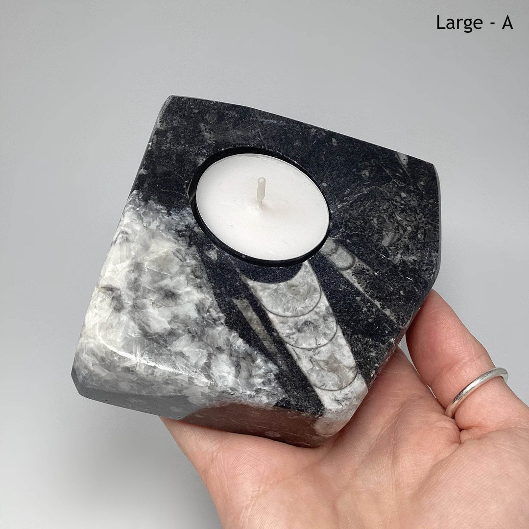 Fossilized Orthoceras Candle Holder - Rocks and Gems Canada