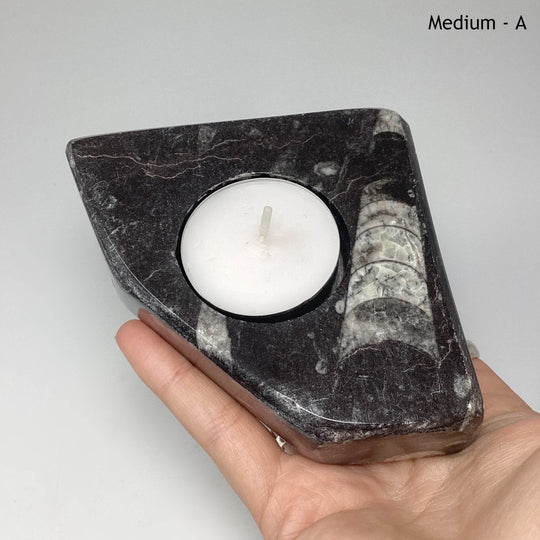 Fossilized Orthoceras Candle Holder - Rocks and Gems Canada