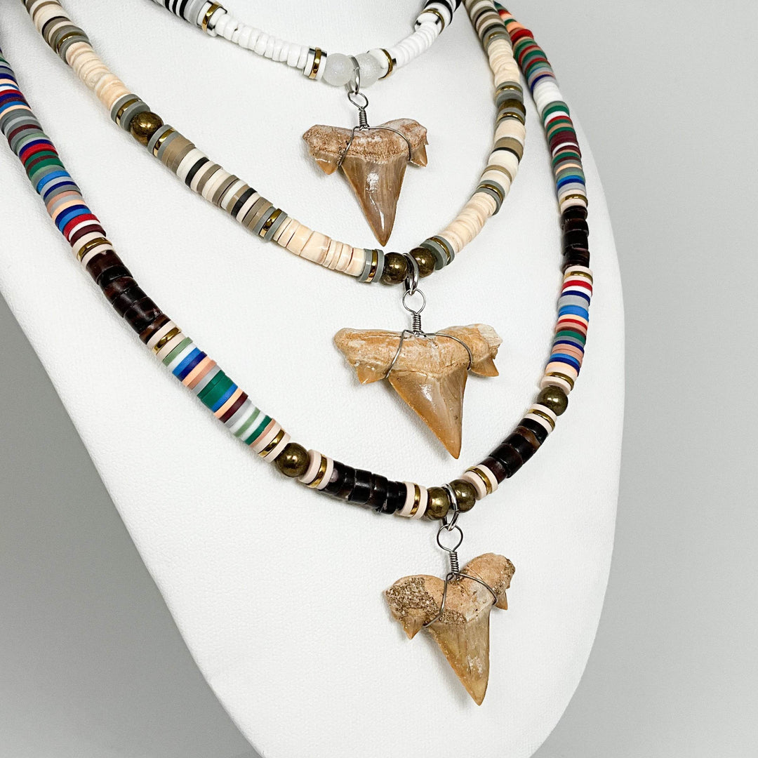 Fossilized Shark Tooth Necklace - Rocks and Gems Canada
