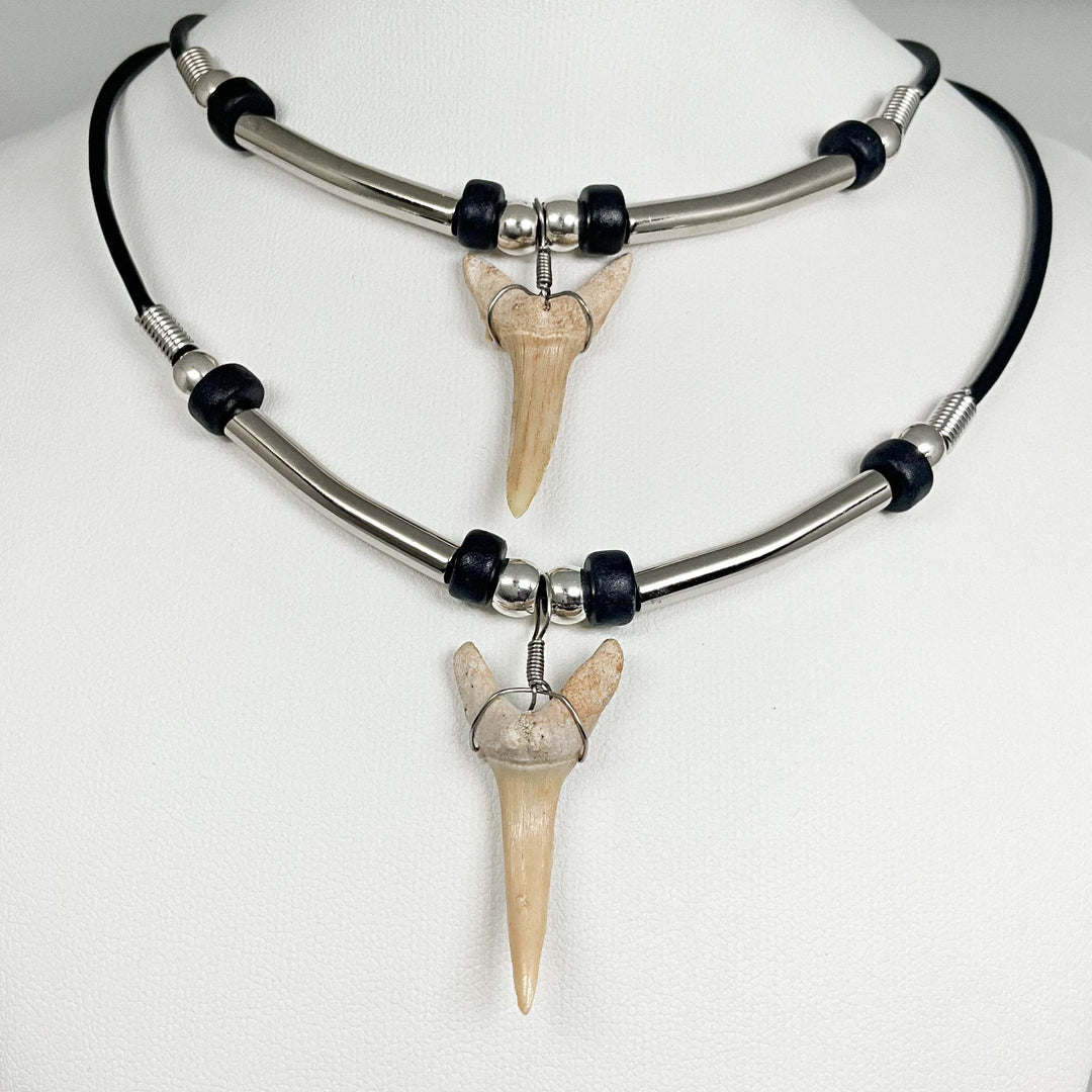 Fossilized Shark Tooth Necklace - Rocks and Gems Canada