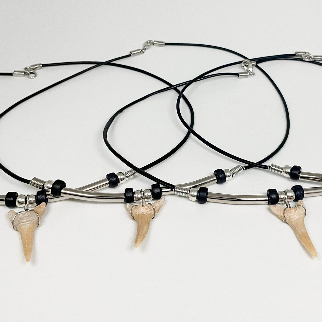 Fossilized Shark Tooth Necklace - Rocks and Gems Canada