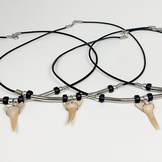 Fossilized Shark Tooth Necklace - Rocks and Gems Canada