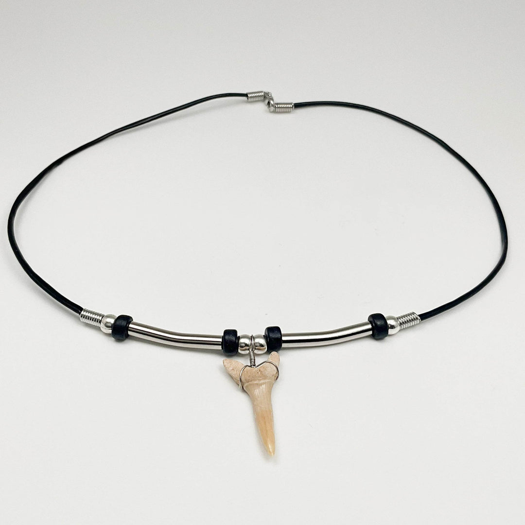 Fossilized Shark Tooth Necklace - Rocks and Gems Canada