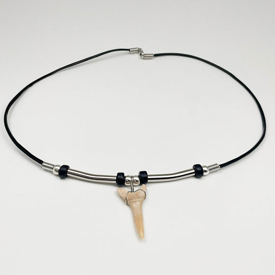 Fossilized Shark Tooth Necklace - Rocks and Gems Canada