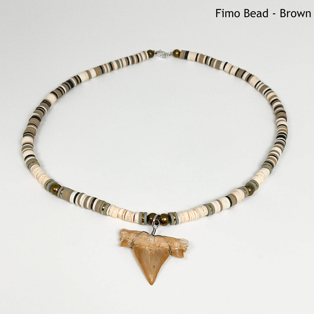 Fossilized Shark Tooth Necklace - Rocks and Gems Canada