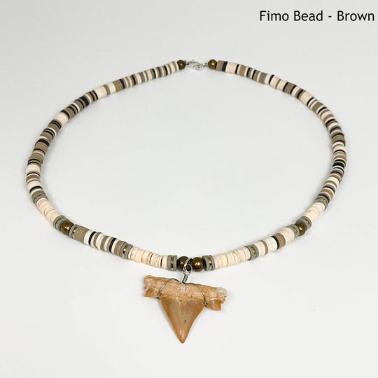Fossilized Shark Tooth Necklace - Rocks and Gems Canada