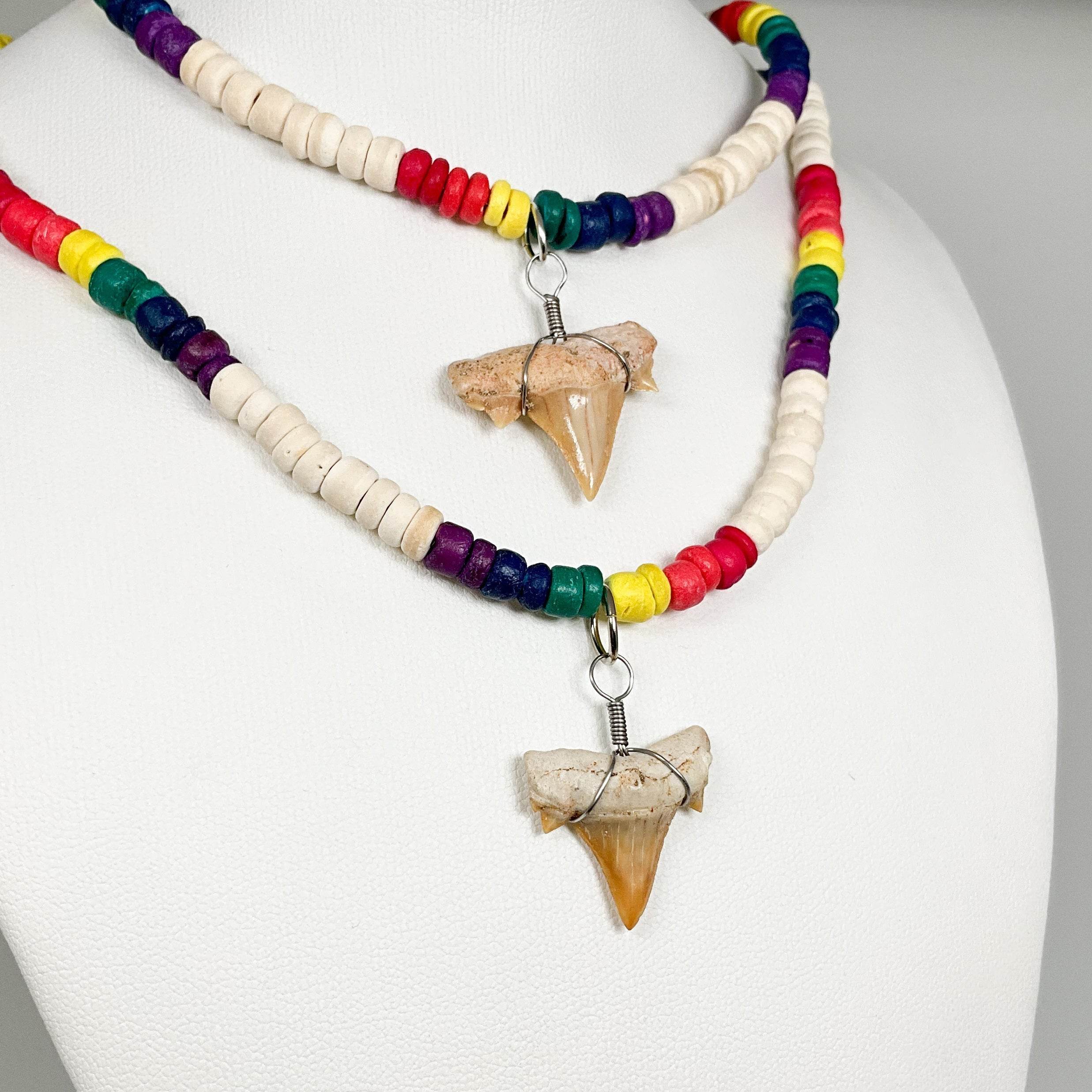 Fossilized Shark Tooth Necklace - Rocks and Gems Canada