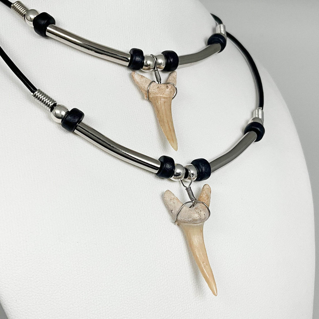 Fossilized Shark Tooth Necklace - Rocks and Gems Canada