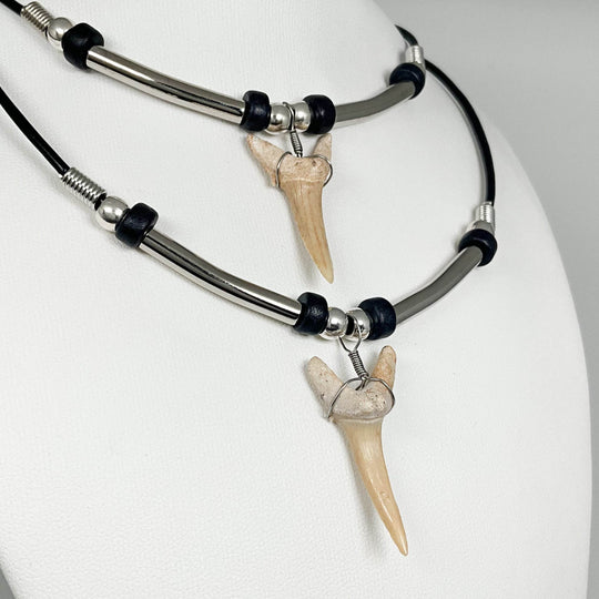 Fossilized Shark Tooth Necklace - Rocks and Gems Canada